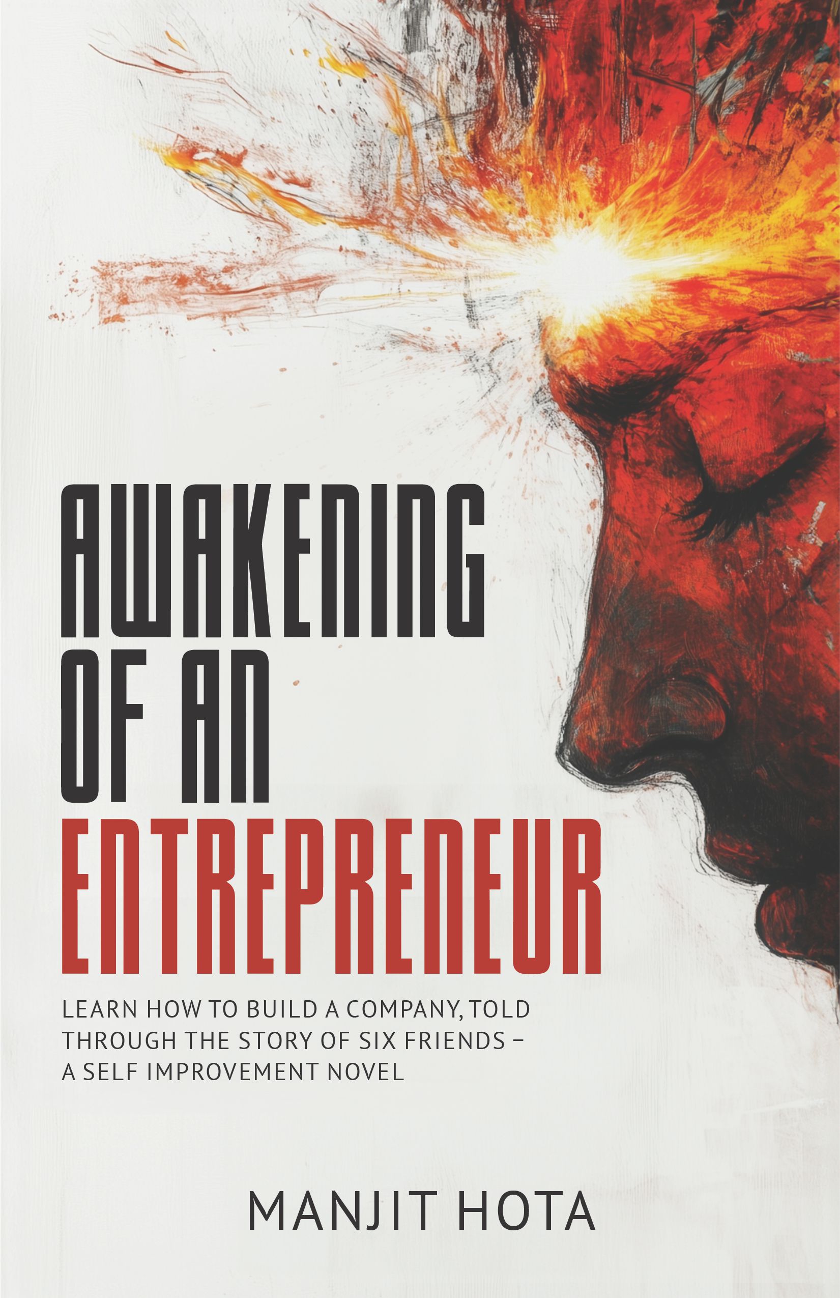 Awakening of an Entrepreneur | Learn how to build a company, told through the story of six friends – a self improvement novel